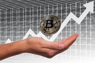 乐鱼体育app网址-英超俱乐部母公司上市路径与股价波动分析,英超俱乐部投入