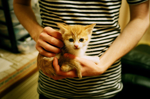 乐鱼app-外援投入产出比长期失衡影响投入信心,投入产出比例失衡